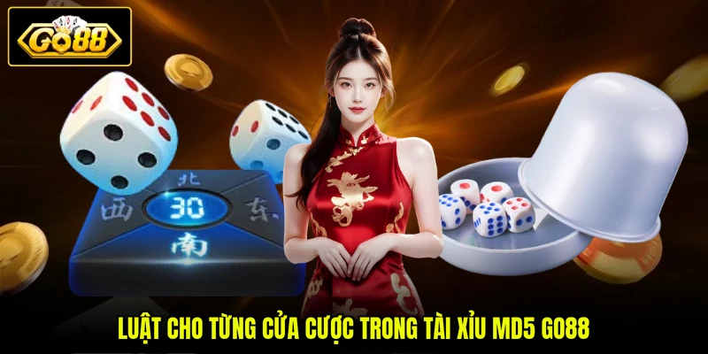 Tài Xỉu MD5 GO88 - Luật Chơi Và Kinh Nghiệm Thực Chiến 3 Luật cho từng cửa cược trong tài xỉu MD5 GO88